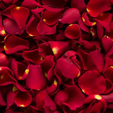 Red Rose Petals
